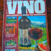 Rivista il mio vino Aprile 2003 Terodego