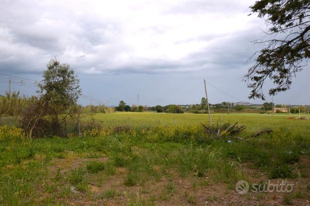 Terreno molto fertile