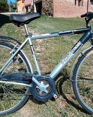 bici uomo da passeggio
