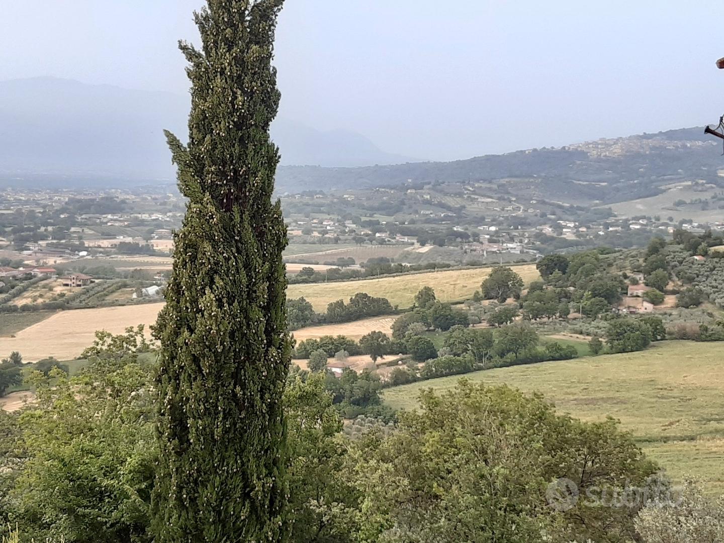 Terreno di 4.200 mq con rudere e vista panoramica - Vista 3