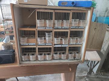 gabbie in legno con trasportino 