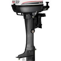 Motore Fuoribordo Selva 9.9 cavalli Piranha