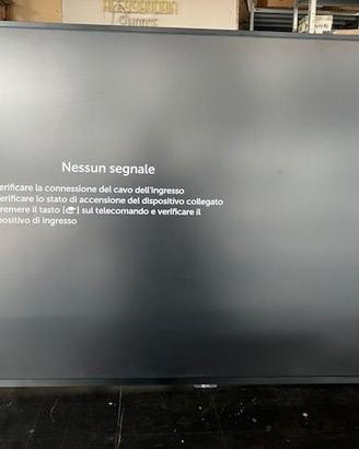 Monitor 55 pollici