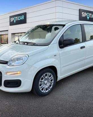 FIAT Pandina 1.0 FireFly 65cv S&S 6m Hybrid Icon
