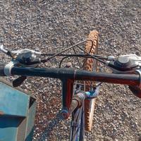 Bicicletta mtb 26