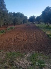 Vendita terreno agricolo con pozzo acqua sorgiva