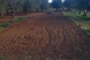 Vendita terreno agricolo con pozzo acqua sorgiva