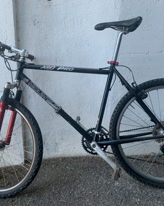 Bicicletta Mountain Bike