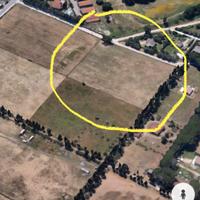 Terreno agricolo la cogna - Aprilia