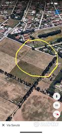 Terreno agricolo la cogna - Aprilia