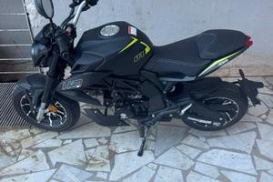 Lem brutus 110