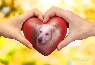 Gio.elenco: Articoli vari