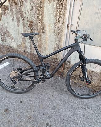 Ican bike mod. P1 carbonio tg 19 anno 2026