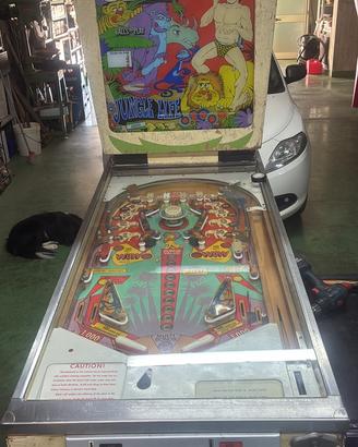 Flipper jungle life
