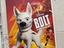 Immagine 6