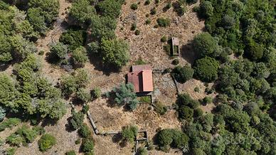 Ampio terreno boschivo e pascolativo