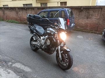 Cupolino FZ6 Naked S1