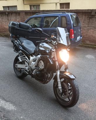Cupolino FZ6 Naked S1