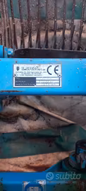 scavapatate