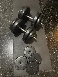 Panca piana  + Due manubri