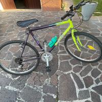 Bicicletta MTB ragazzo