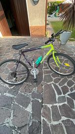 Bicicletta MTB ragazzo