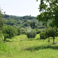 TER. AGRICOLO A SANT'AGATA DE' GOTI