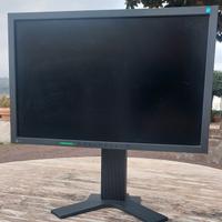 Monitor EIZO
