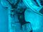 Immagine 5