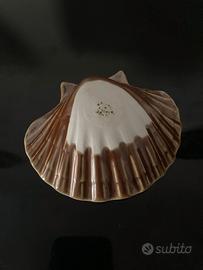 Conchiglia richard ginori