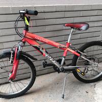 Bici bambino TORPADO PUMA 20