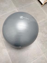 Fitball palla fitness