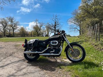 Harley-Davidson Sportster 1200 - 2006