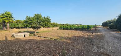 Terreno Agricolo