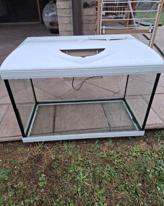Acquario 60x31x37