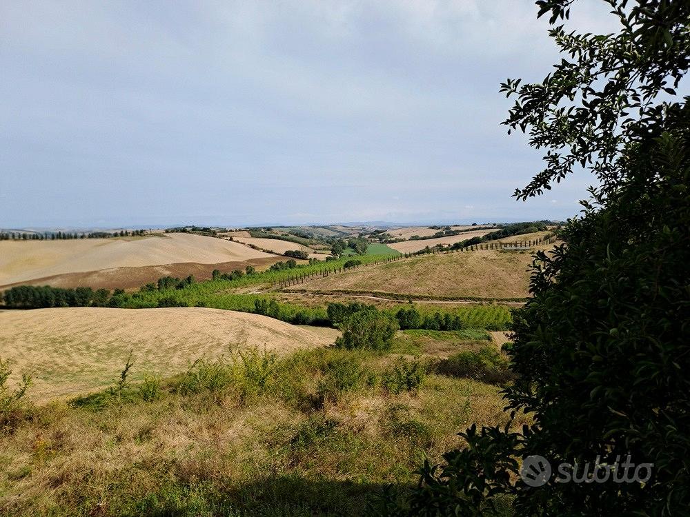 Antico Casale in collina Buonconvento Siena - Vista 5