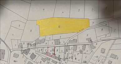 Uliveto con 60 ulivi 5000 m2