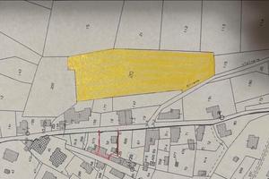 Uliveto con 60 ulivi 5000 m2