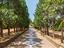 Immagine 20