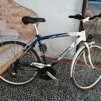 Bici uomo bottecchia