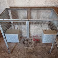 Gabbia per conigli, pulcini, furetti, galline
