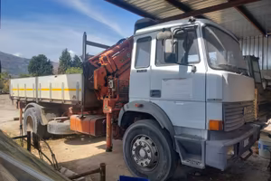 Camion con autogru