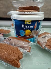 discus