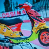 Zip Piaggio ricambi