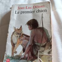 libro narrativa in francese