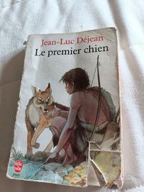 libro narrativa in francese