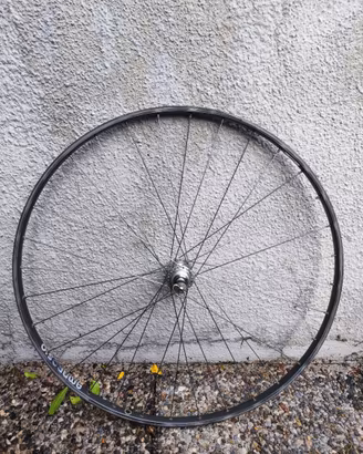Ruote bici corsa vintage mozzo Campagnolo Record