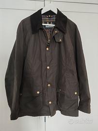 Barbour Ashby L oliva