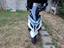 Immagine 1