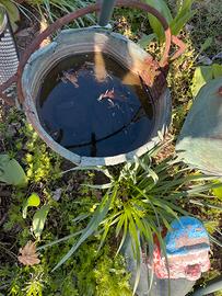 Vecchio secchio x arredo giardino